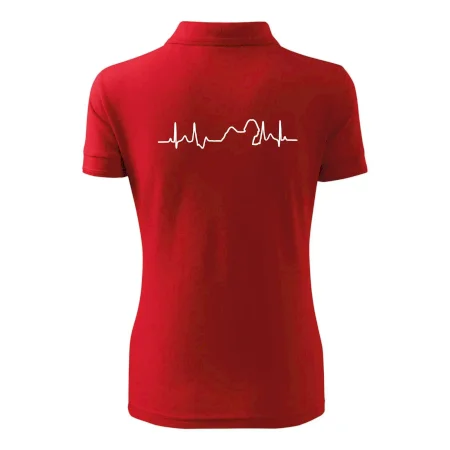 Shih-tzu ekg obrys