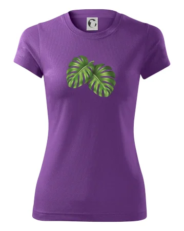 Monstera - dva listy
