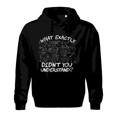What exactly didn't you understand - physics