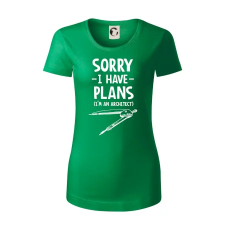 Sorry I have plans - architect