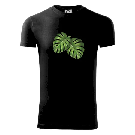 Monstera - dva listy