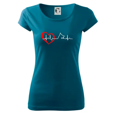 Nemecký ovčiak ekg
