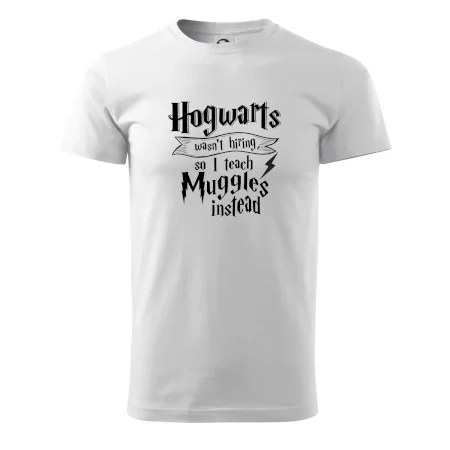Harry - Hogwarts wasn’t hiring, so I teach Muggles instead