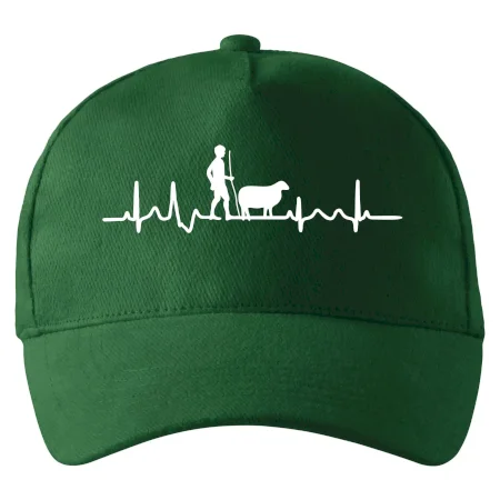 Ekg pastier oviec