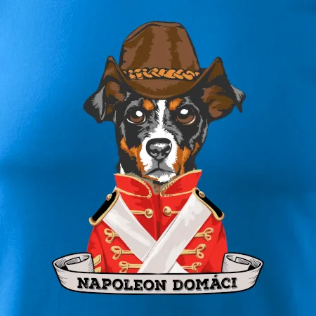Napoleon domáci kríženec