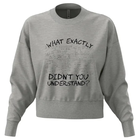 What exactly didn't you understand - physics