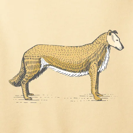 Vintage Collie