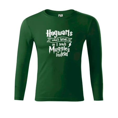 Harry - Hogwarts wasn’t hiring, so I teach Muggles instead