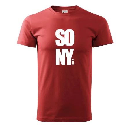 SO NY city