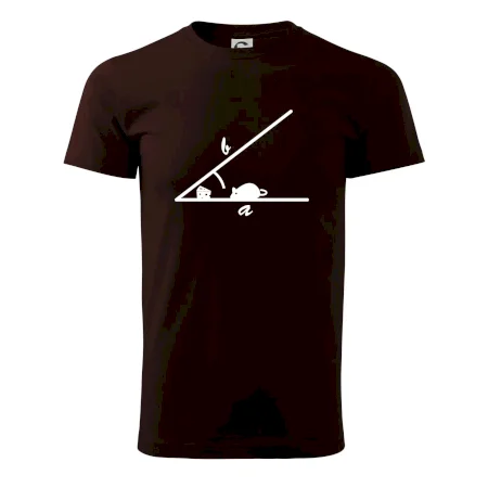 Matematická myš