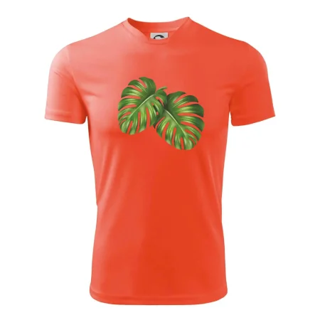 Monstera - dva listy