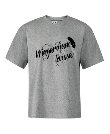 Harry - Wingardium Leviosa