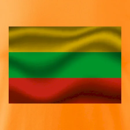 Litva vlajka obdĺžnik