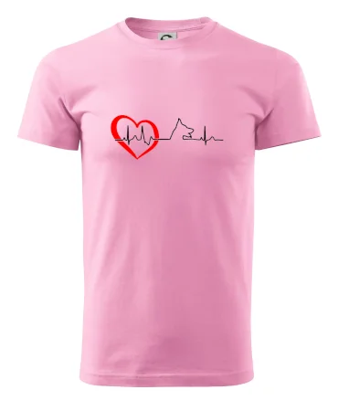 Nemecký ovčiak ekg