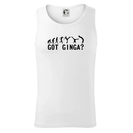 Capoeira - Got Ginga