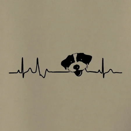 Jack Russell Teriér hrubosrstý Ekg