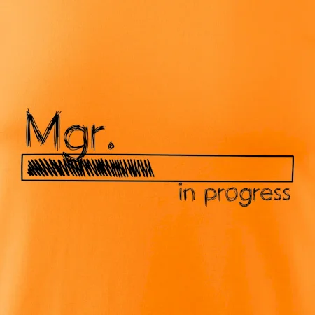 In progress titul Mgr. magister / magistra