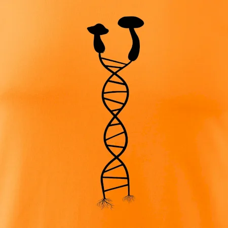 DNA huby