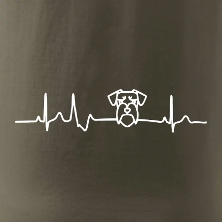 Ekg bradáč hlava