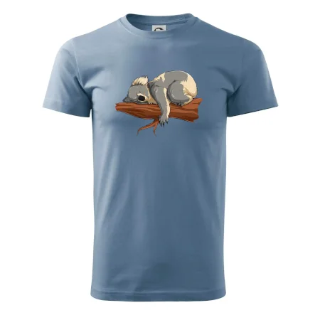 Koala na vetve