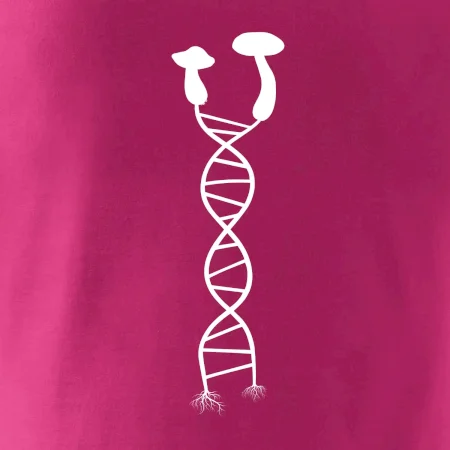 DNA huby