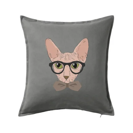 Hipster sphynx
