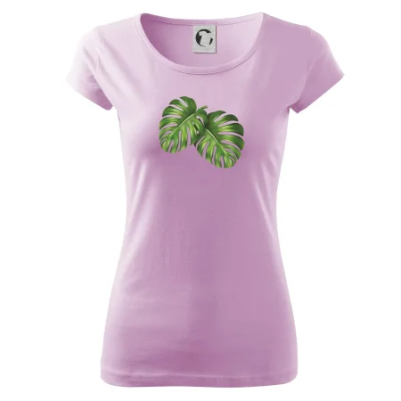 Monstera - dva listy