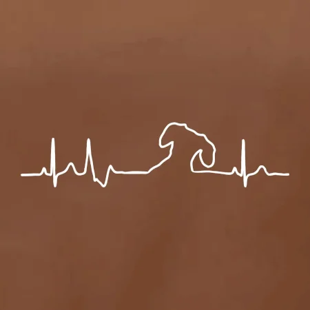 Jazvečík EKG