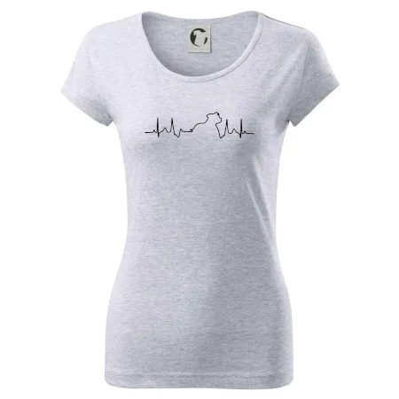 Stafordšírsky bulteriér ‎ EKG