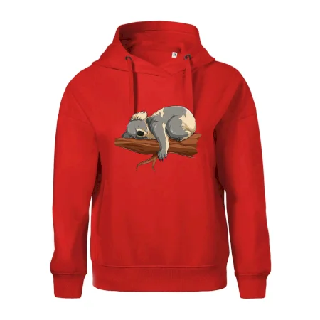 Koala na vetve