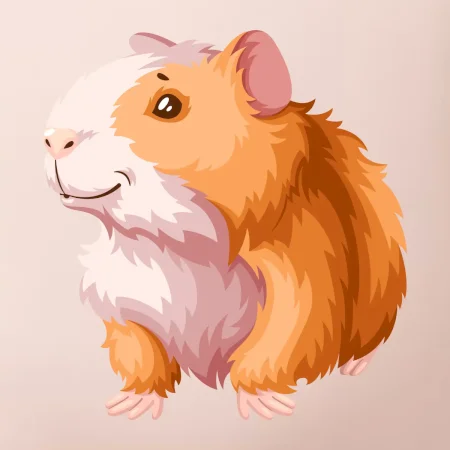 Morča - kreslené, bielo oranžové