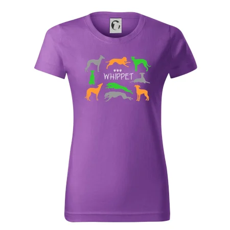 Whippet farebný