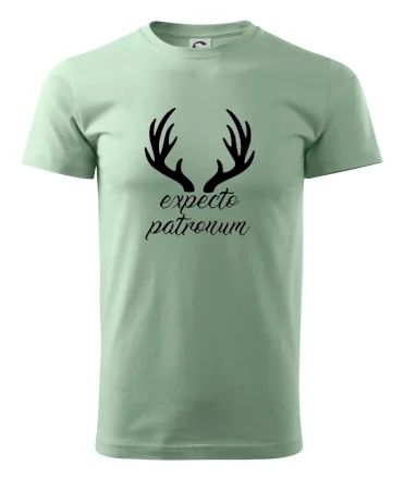 Harry - Expecto patronum