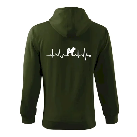 Shiba-Inu EKG