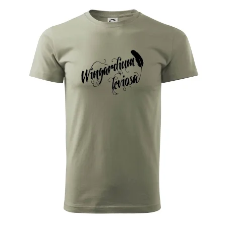 Harry - Wingardium Leviosa