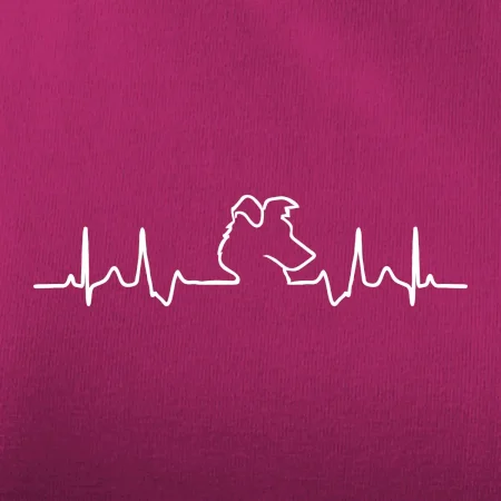 Borderská kólia EKG