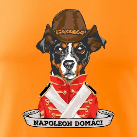 Napoleon domáci kríženec