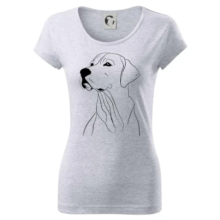 Labrador čierna kresba
