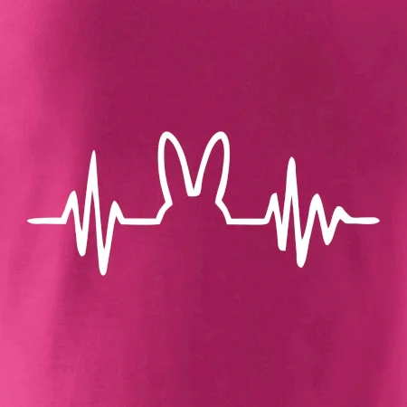 EKG zajac