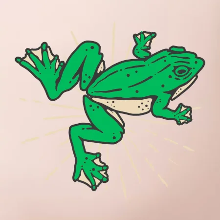 Žaba zelená kreslená