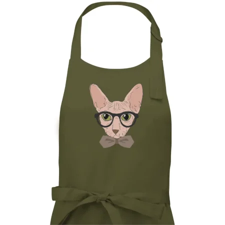 Hipster sphynx