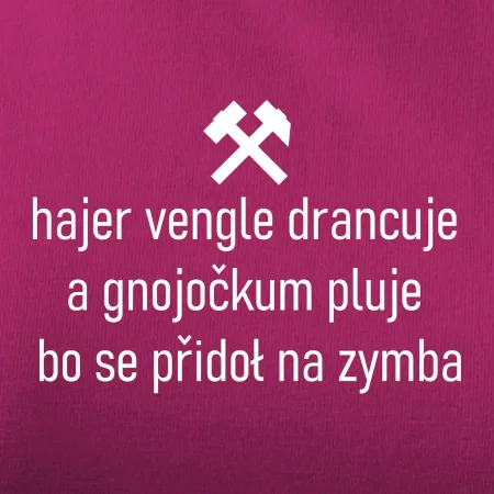 Hajer vengle drancuje a gnojočkum pluje bo se přidoł na zymba