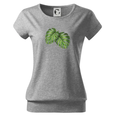 Monstera - dva listy
