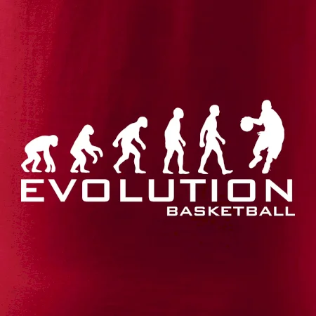 Evolúcia Basketball