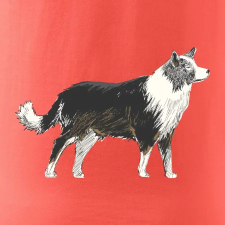 Border kólia kreslená