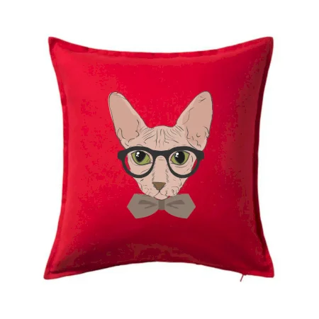 Hipster sphynx
