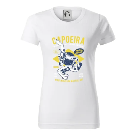 Capoeira  Afro-brazil art