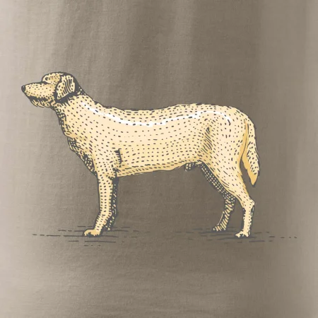 Vintage Labrador
