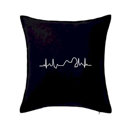 Shih-tzu ekg obrys