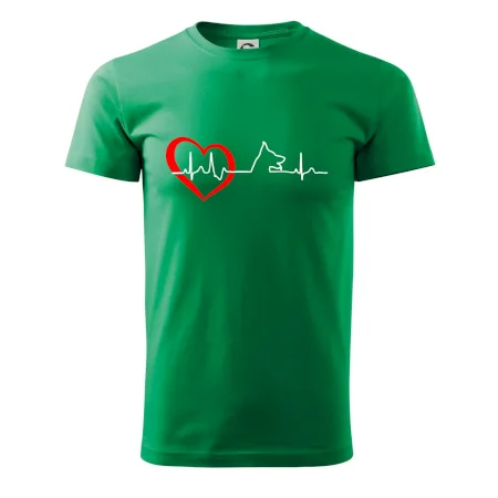 Nemecký ovčiak ekg